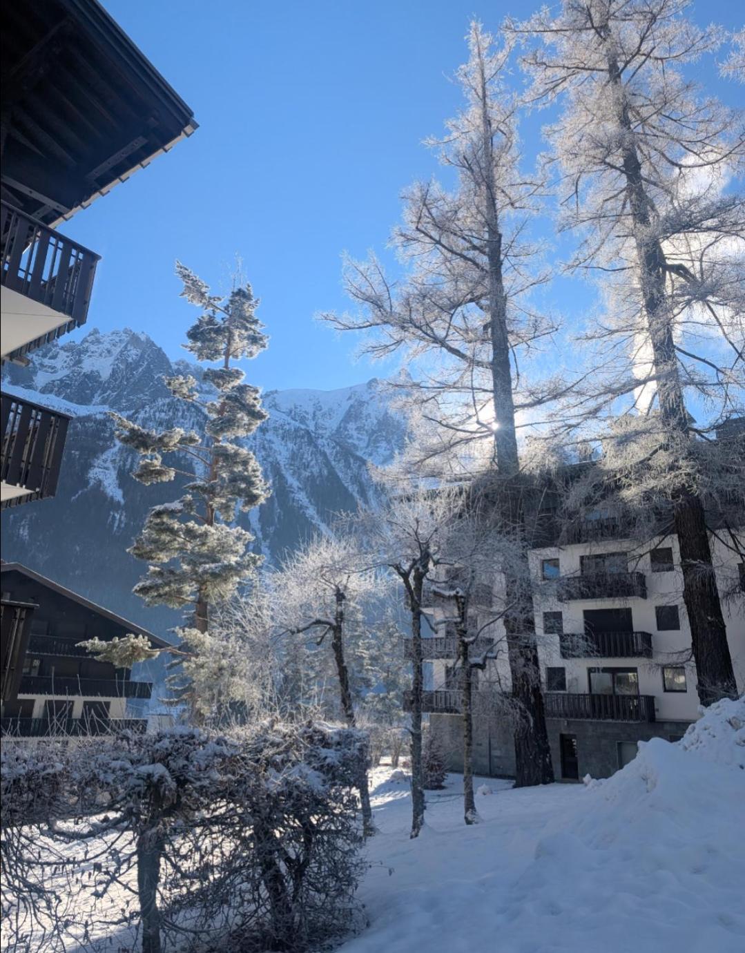 Apartmán Au Petit Bois Chamonix Exteriér fotografie